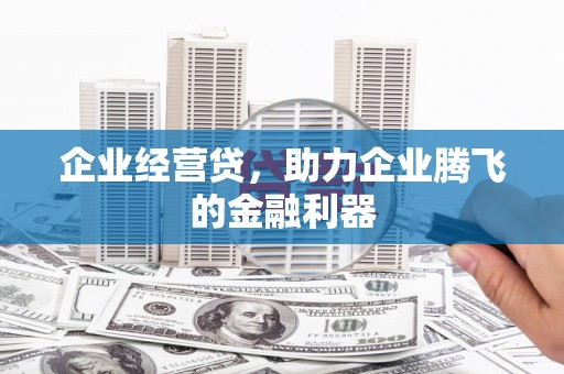 剑阁企业经营贷，助力企业腾飞的金融利器