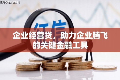 剑阁企业经营贷，助力企业腾飞的关键金融工具