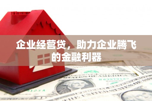 剑阁企业经营贷，助力企业腾飞的金融利器