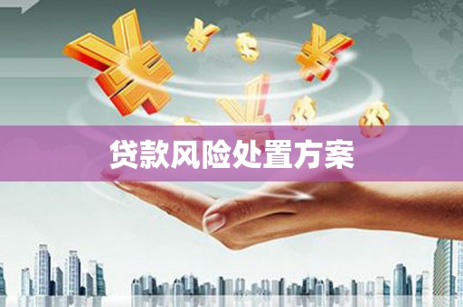 剑阁贷款风险处置方案
