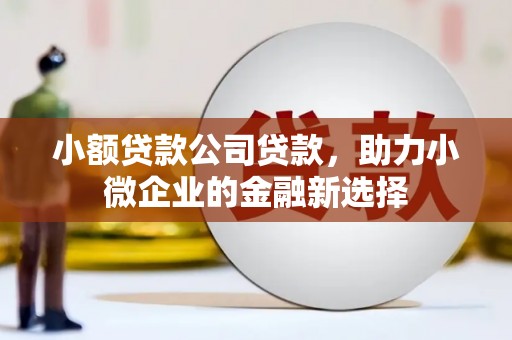 剑阁小额贷款公司贷款，助力小微企业的金融新选择