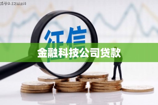 剑阁金融科技公司贷款