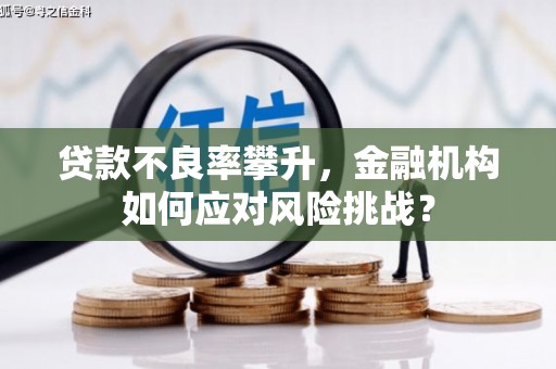 剑阁贷款不良率攀升，金融机构如何应对风险挑战？