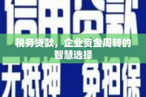 剑阁税务贷款，企业资金周转的智慧选择