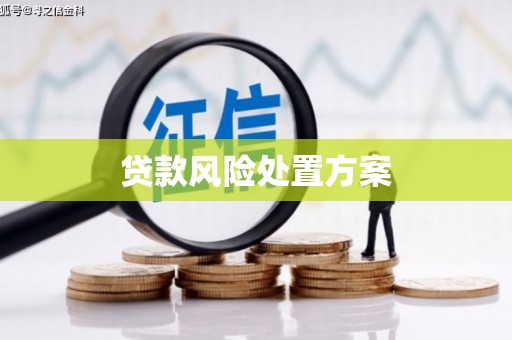 剑阁贷款风险处置方案