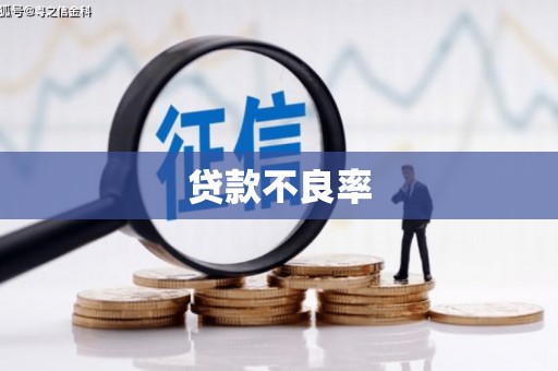 剑阁贷款不良率