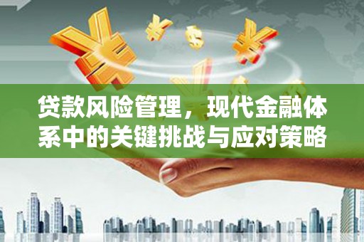 剑阁贷款风险管理，现代金融体系中的关键挑战与应对策略