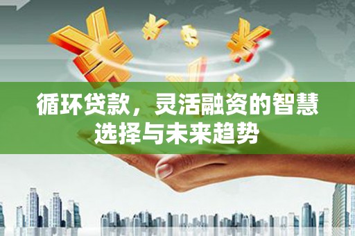 剑阁循环贷款，灵活融资的智慧选择与未来趋势