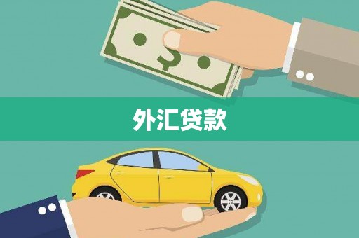 剑阁外汇贷款