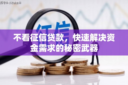 剑阁不看征信贷款，快速解决资金需求的秘密武器