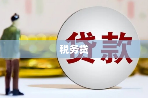 剑阁税务贷