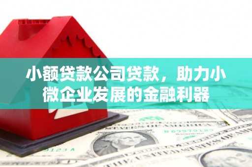 剑阁小额贷款公司贷款，助力小微企业发展的金融利器