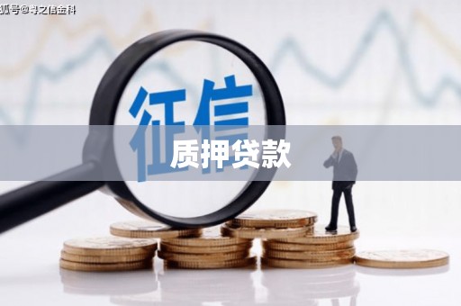 剑阁质押贷款