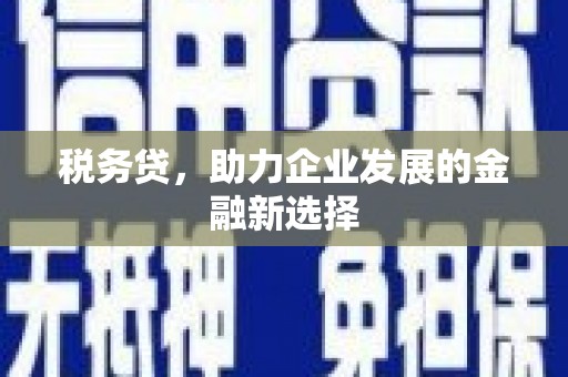 剑阁税务贷，助力企业发展的金融新选择