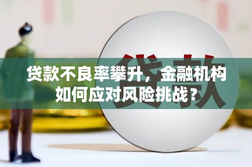 剑阁贷款不良率攀升，金融机构如何应对风险挑战？