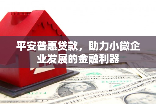剑阁平安普惠贷款，助力小微企业发展的金融利器