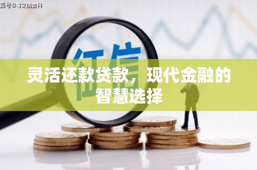 剑阁灵活还款贷款，现代金融的智慧选择