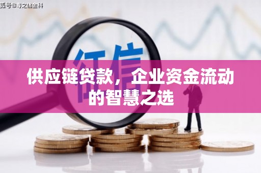 剑阁供应链贷款，企业资金流动的智慧之选