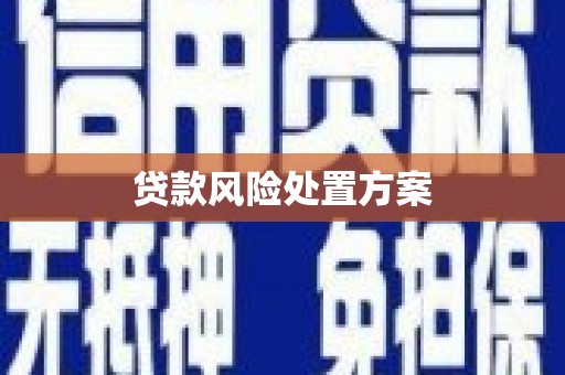 剑阁贷款风险处置方案