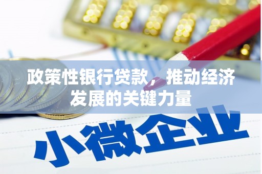 剑阁政策性银行贷款，推动经济发展的关键力量