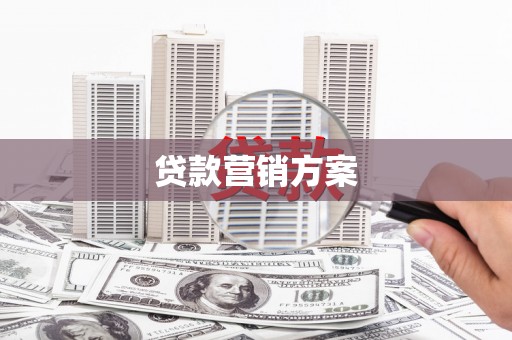剑阁贷款营销方案