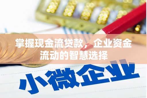 剑阁掌握现金流贷款，企业资金流动的智慧选择