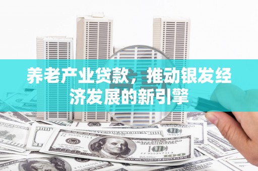 剑阁养老产业贷款，推动银发经济发展的新引擎