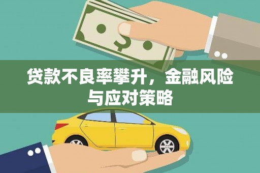 剑阁贷款不良率攀升，金融风险与应对策略