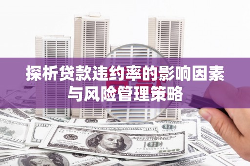 剑阁探析贷款违约率的影响因素与风险管理策略