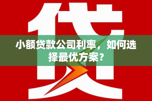 剑阁小额贷款公司利率，如何选择最优方案？