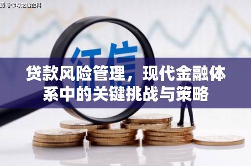 剑阁贷款风险管理，现代金融体系中的关键挑战与策略