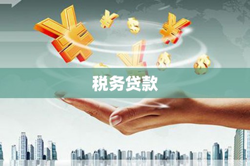 剑阁税务贷款