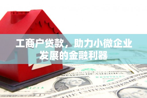 剑阁工商户贷款，助力小微企业发展的金融利器
