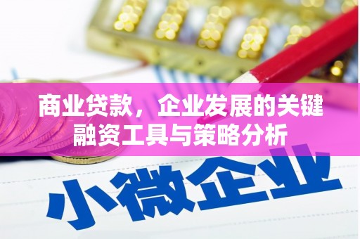 剑阁商业贷款，企业发展的关键融资工具与策略分析