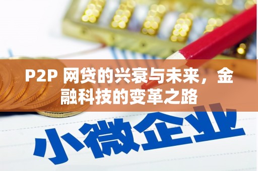剑阁P2P 网贷的兴衰与未来，金融科技的变革之路