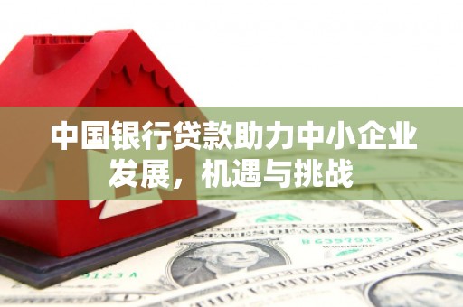 剑阁中国银行贷款助力中小企业发展，机遇与挑战