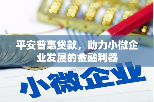 剑阁平安普惠贷款，助力小微企业发展的金融利器