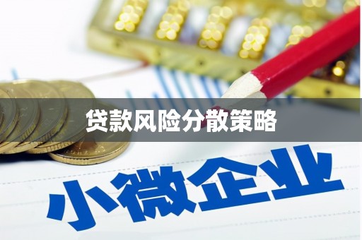 剑阁贷款风险分散策略