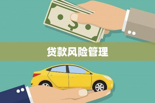 剑阁贷款风险管理