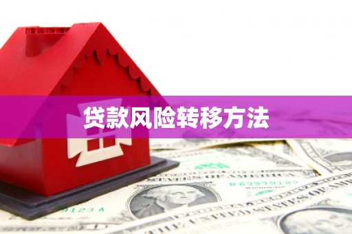 剑阁贷款风险转移方法