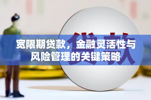 剑阁宽限期贷款，金融灵活性与风险管理的关键策略