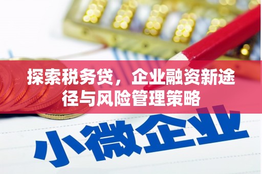 剑阁探索税务贷，企业融资新途径与风险管理策略