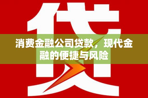 剑阁消费金融公司贷款，现代金融的便捷与风险