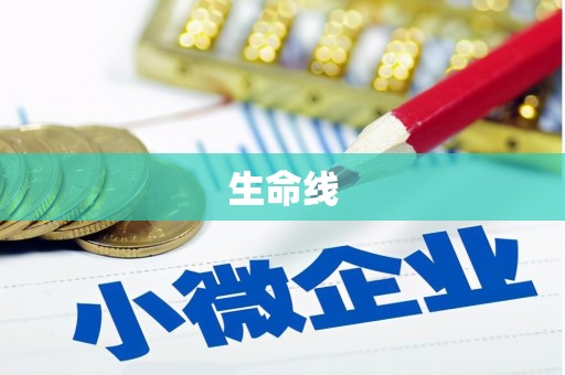 剑阁生命线