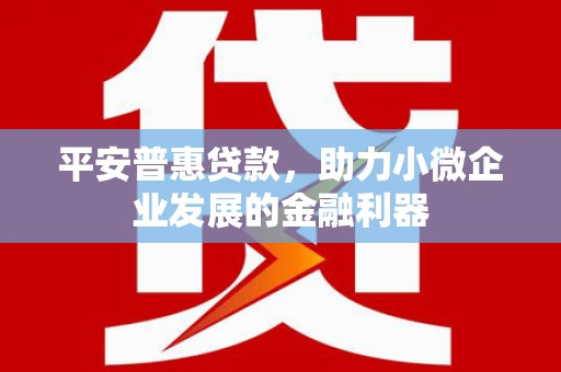 剑阁平安普惠贷款，助力小微企业发展的金融利器