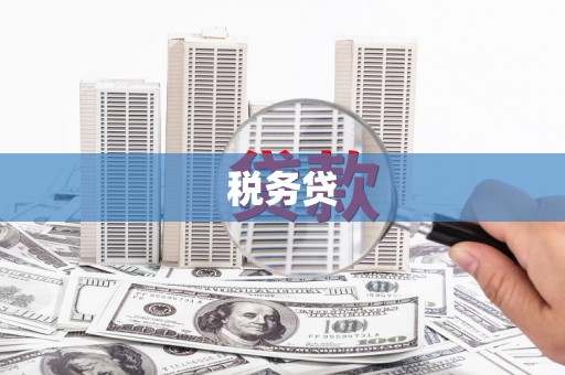 剑阁税务贷