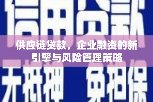 剑阁供应链贷款，企业融资的新引擎与风险管理策略