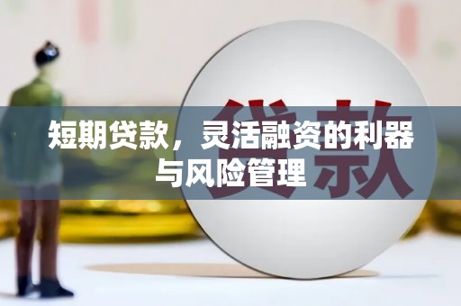 剑阁短期贷款，灵活融资的利器与风险管理