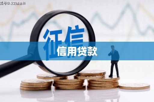 剑阁信用贷款