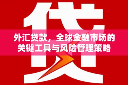 剑阁外汇贷款，全球金融市场的关键工具与风险管理策略